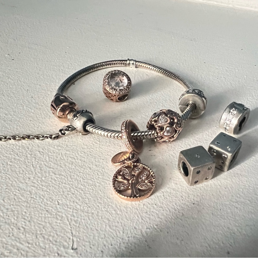 Pandora bracelet with charms